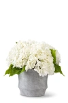 Cocobella Ryann Realtouch Hydrangea Arrangement In Snow