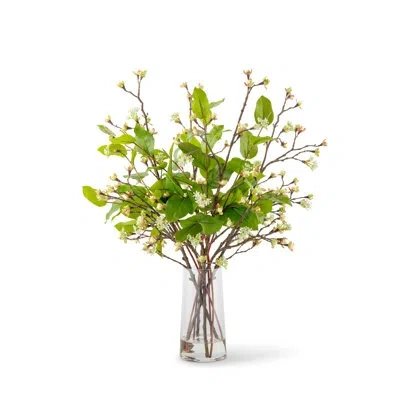 Cocobella Savoy Greenery Bud Arrangement