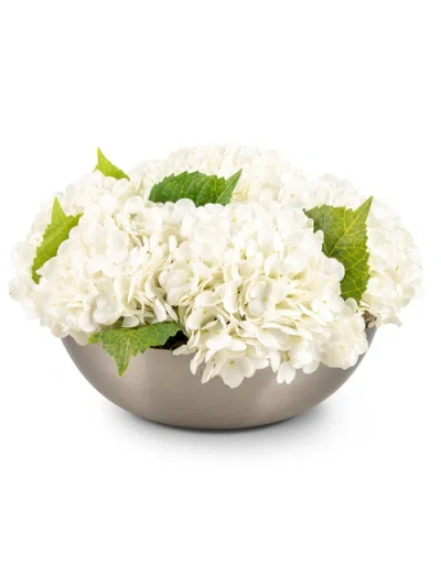Cocobella Stella Realtouch Hydrangea Arrangement In White