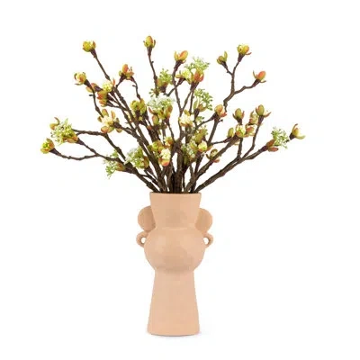 Cocobella Timeless Living Cherry Blossom Bud Arrangement In Green
