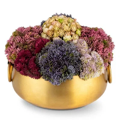 Cocobella Timeless Living Gold Sedum Arrangement In Pink