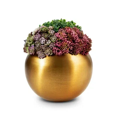 Cocobella Timeless Living Gold Sedum Arrangement In Purple