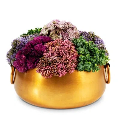 Cocobella Timeless Living Sedum Floral Arrangement In Gold Pot In Purple