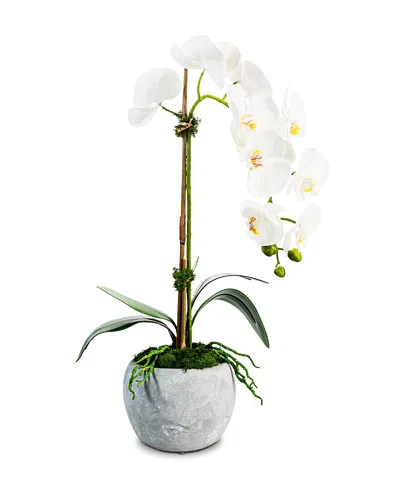 Cocobella Victoria Ceramic Realtouch Orchid In Medium Grey