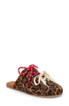Coconuts By Matisse Devyl Lace-up Mule In Brown