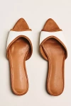 Coconuts By Matisse Kess Pointed-toe Flats In Brown