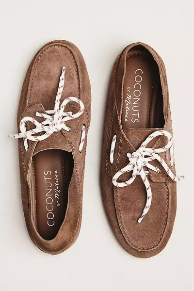 Coconuts By Matisse Petra Lace-up Boat Shoes In Brown