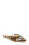 Coconuts By Matisse Reggie Pointed Toe Mule In Multi