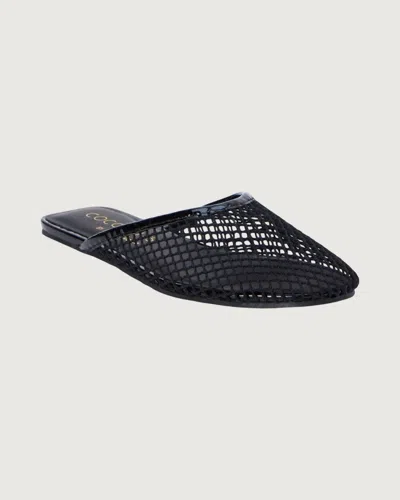 COCONUTS BY MATISSE WOMEN'S BROOKLYN MESH FLAT MULE IN BLACK