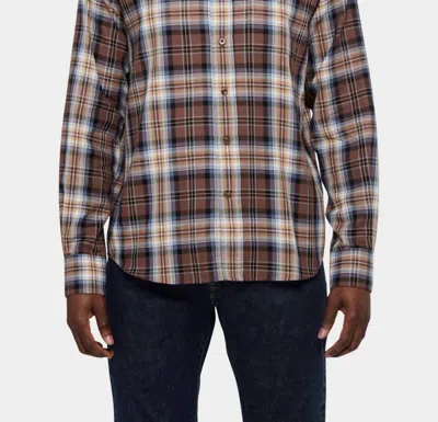C.o.f. Studio Button Down Classic Shirt In Nutella In Multi