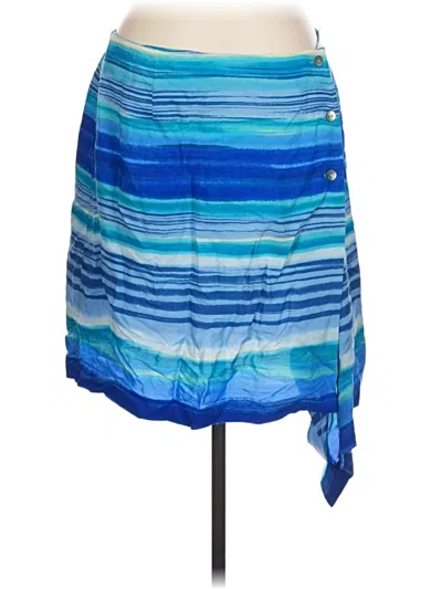 Pre-owned Coldwater Creek Casual Skirt In Blue
