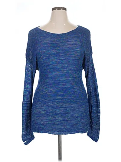 Pre-owned Coldwater Creek Pullover Sweater In Blue