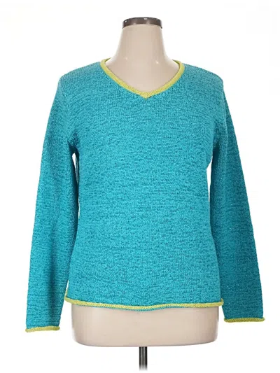 Pre-owned Coldwater Creek Pullover Sweater In Blue