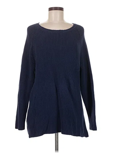 Pre-owned Coldwater Creek Pullover Sweater In Blue