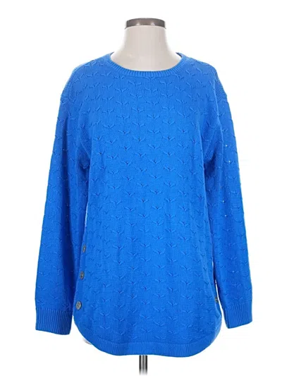 Pre-owned Coldwater Creek Pullover Sweater In Blue