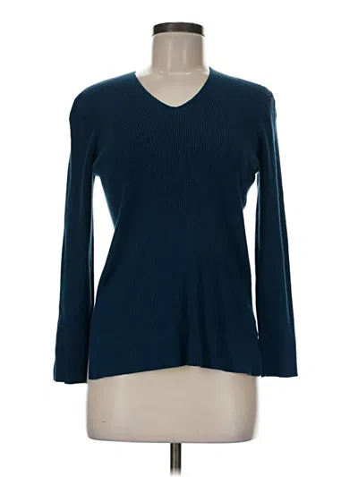 Pre-owned Coldwater Creek Pullover Sweater In Blue