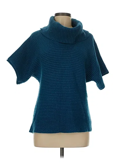Pre-owned Coldwater Creek Turtleneck Sweater In Blue