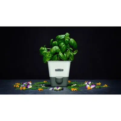 Cole & Mason Indoor Herb Garden Self-watering Carbon Steel Pot Planter In White;gray