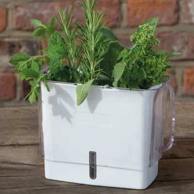 Cole & Mason Self Watering Fresh Herb Keeper Plastic Pot Planter In White;clear