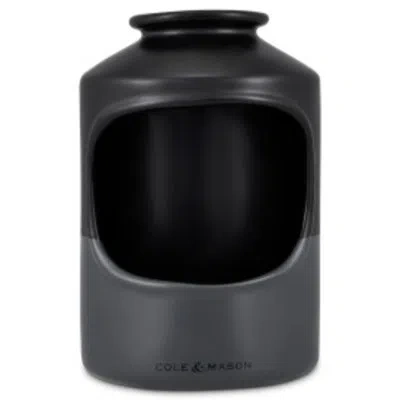 Cole & Mason Strethall Ceramic Salt Pig In Gray