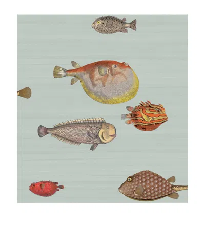 Cole & Son X Fornasetti Acquario Wallpaper Roll In Blue