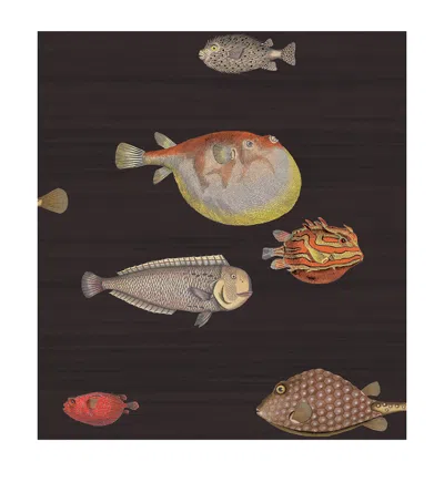 Cole & Son X Fornasetti Acquario Wallpaper Roll In Grey