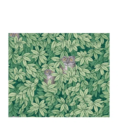 Cole & Son X Fornasetti Foglie E Civette Wallpaper Roll In Green