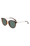 Cole Haan 48mm Oval Sunglasses In Tortoise
