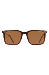 Cole Haan 55mm Rectangular Sunglasses In Brown