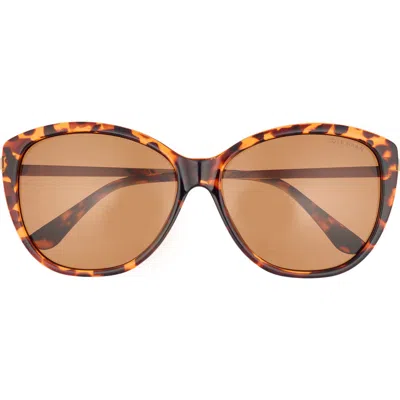 Cole Haan 58mm Round Sunglasses In Tortoise