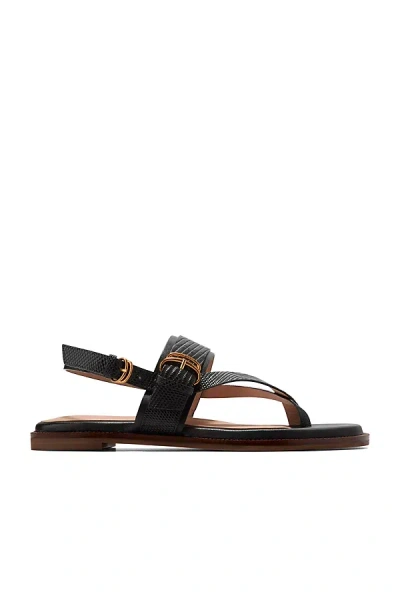 Cole Haan Anica Lux Buckle Sandals In Black