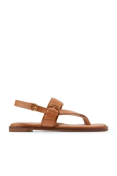 Cole Haan Anica Lux Buckle Sandals In Pecan Brown