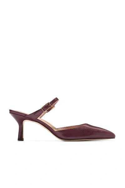 COLE HAAN ANNALISE BUCKLE KITTEN-HEEL MULES