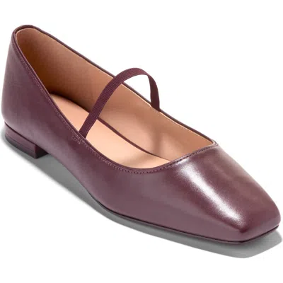 Cole Haan Bridget Mary Jane Flat In Burgundy