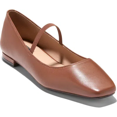 Cole Haan Bridget Mary Jane Flat In Brown