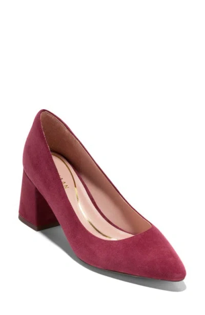 Cole Haan Cassandra Pointed Toe Pump In Cherry Black