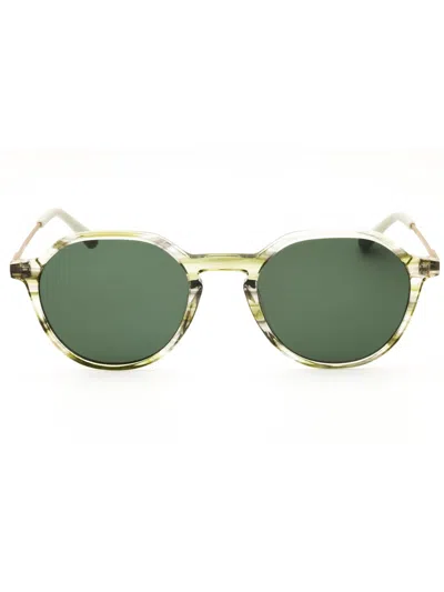 Cole Haan Ch6503 Sunglasses In Blush Hornblush Horn/brown