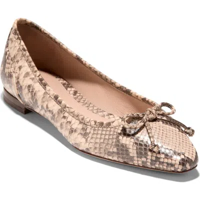 Cole Haan Chlea Pointed Toe Ballet Flat In Cashmere