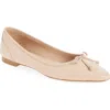 Cole Haan Chlea Pointed Toe Ballet Flat