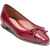 Cole Haan Chlea Pointed Toe Ballet Flat In Brown