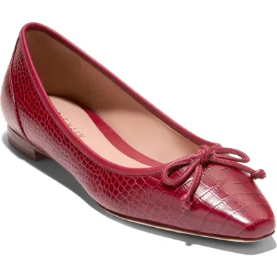 Cole Haan Chlea Pointed Toe Ballet Flat In Brown