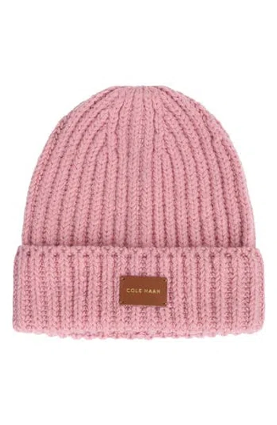 Cole Haan Chunky Cuff Beanie In Blue