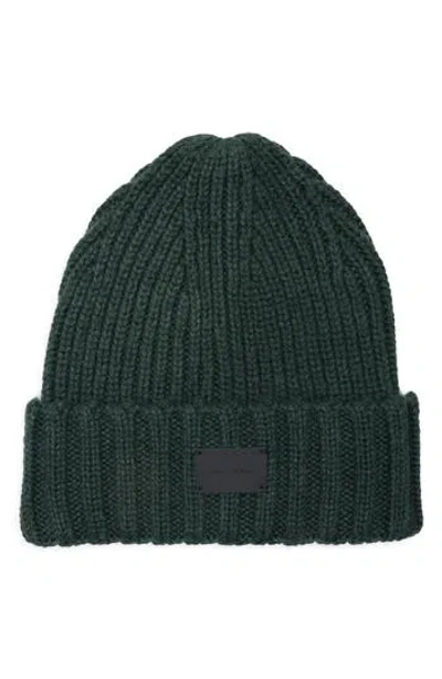 Cole Haan Classic Rib Cuff Beanie In Green