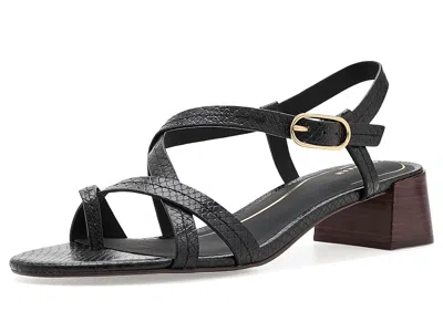 COLE HAAN DILLON BLOCK HEEL THONG SANDALS WOMEN'S DRESS SANDALS BLACK GLOSSY SNAKE PRINT LEATHER: 8 B - MEDIUM