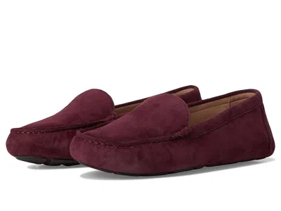 Cole Haan Emmie Drivers In Burgundy