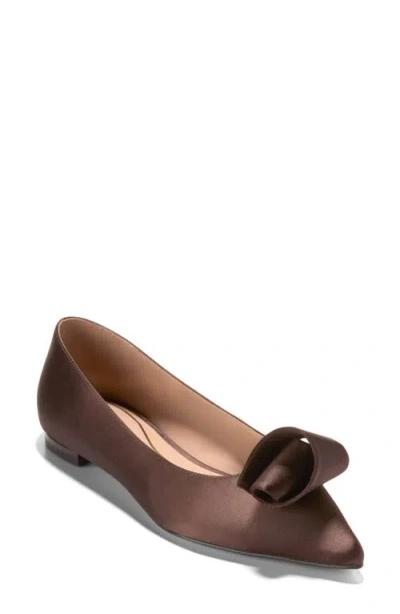 Cole Haan Florette Pointed Toe Skimmer Flat In Brown