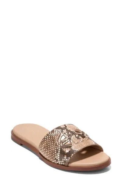 Cole Haan Flynn Logo Slide Sandal In Brown
