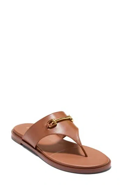 Cole Haan Flynn Leather Thong Sandal In Brown