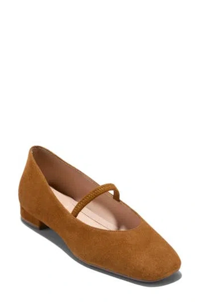 Cole Haan Go-to Valinda Mary Jane Flat In Brown