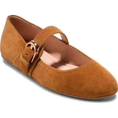 Cole Haan Grand Ambition Alissa Mary Jane Leather Flat In Brown
